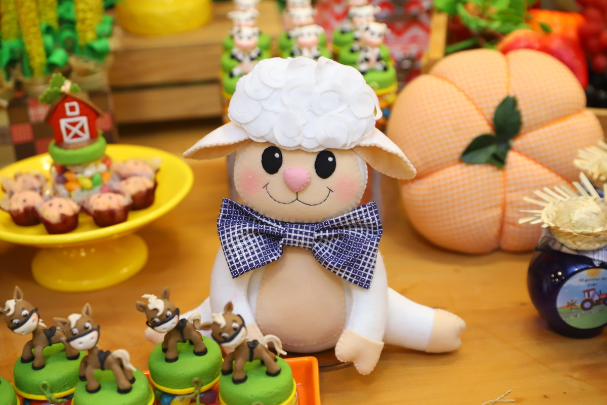 fotografia festa infantil decoração fazendinha aniversário curitiba menino 1 ano buffet 4 kids