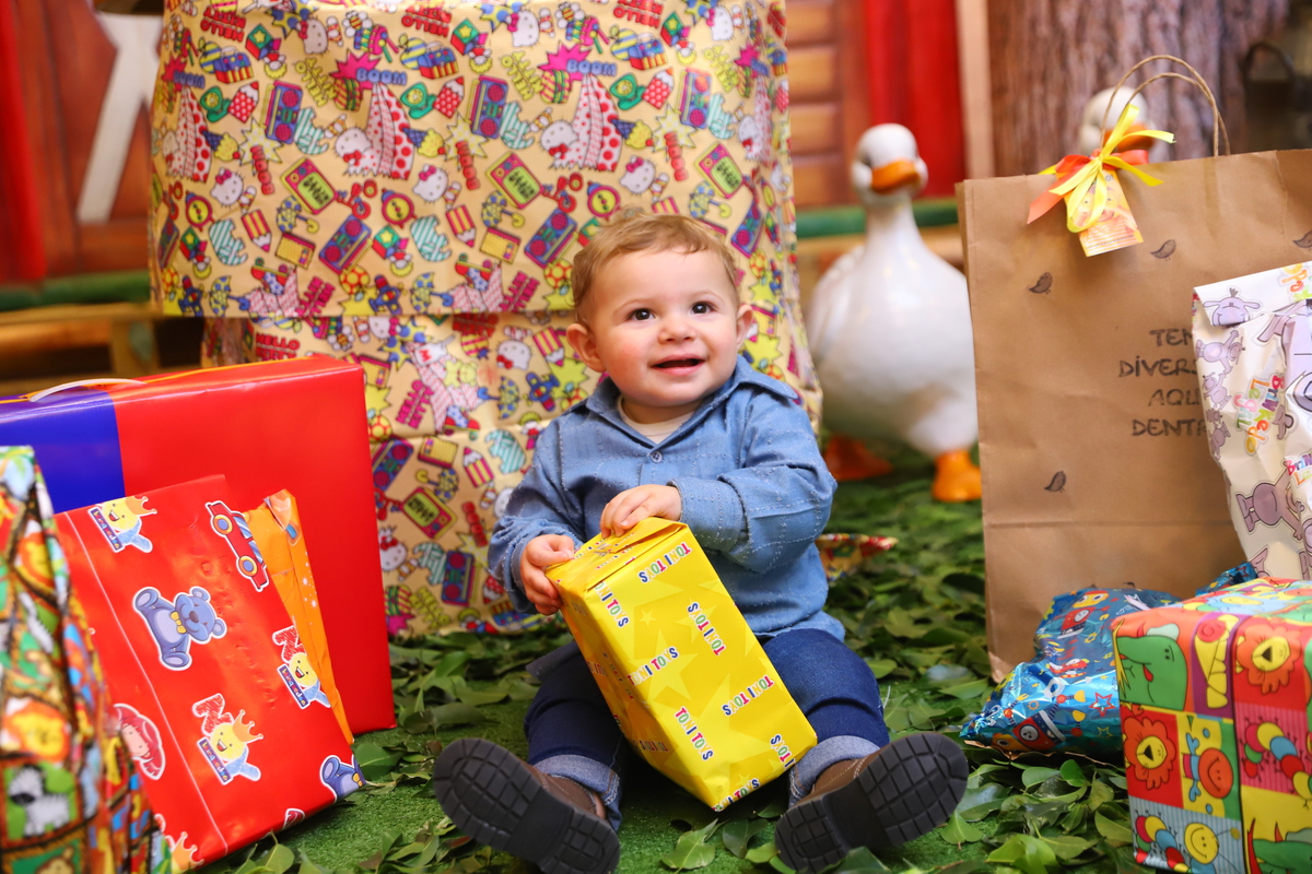 fotografia festa infantil decoração fazendinha aniversário curitiba menino 1 ano buffet 4 kids