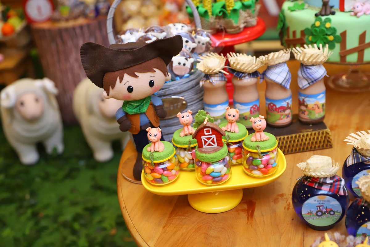 fotografia festa infantil decoração fazendinha aniversário curitiba menino 1 ano buffet 4 kids