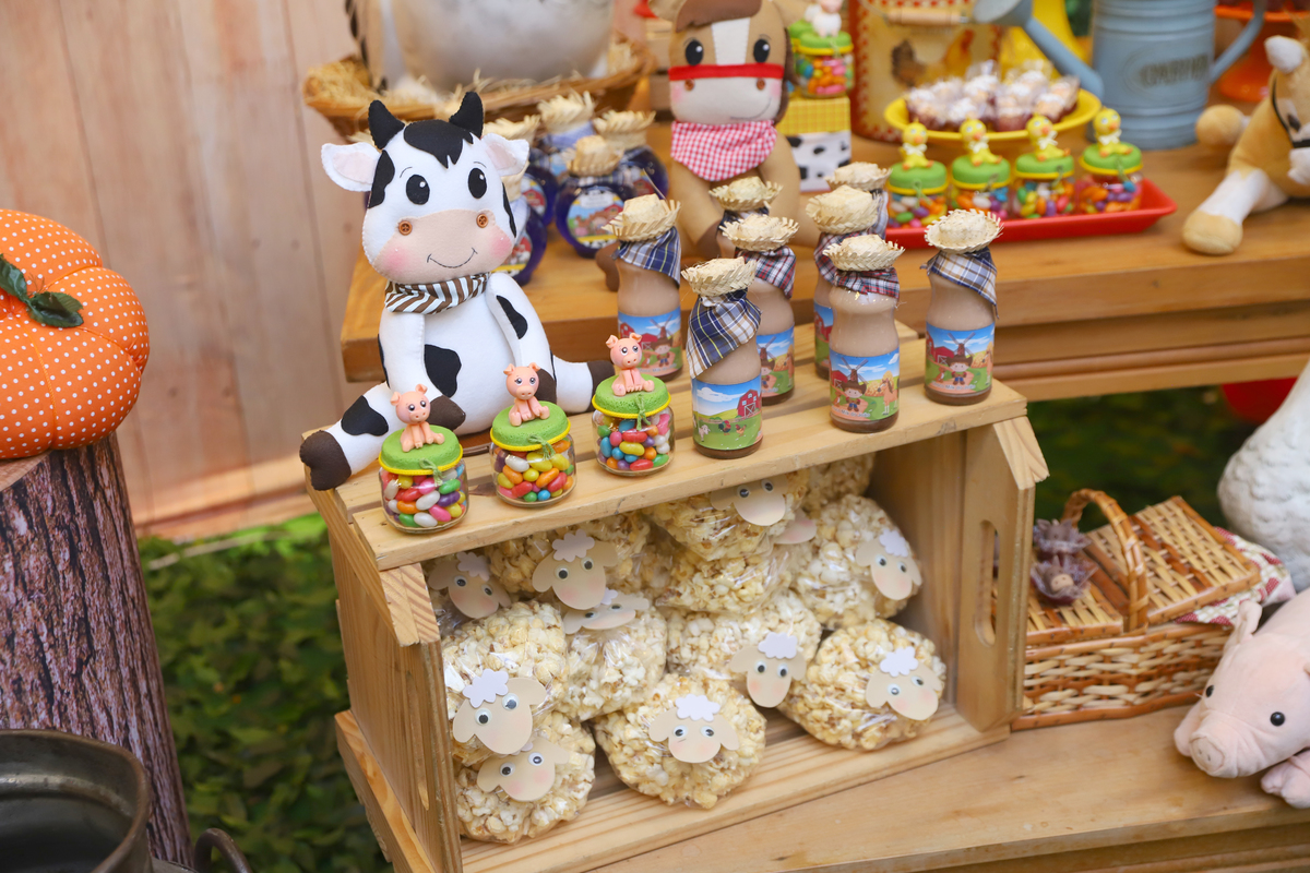 fotografia festa infantil decoração fazendinha aniversário curitiba menino 1 ano buffet 4 kids