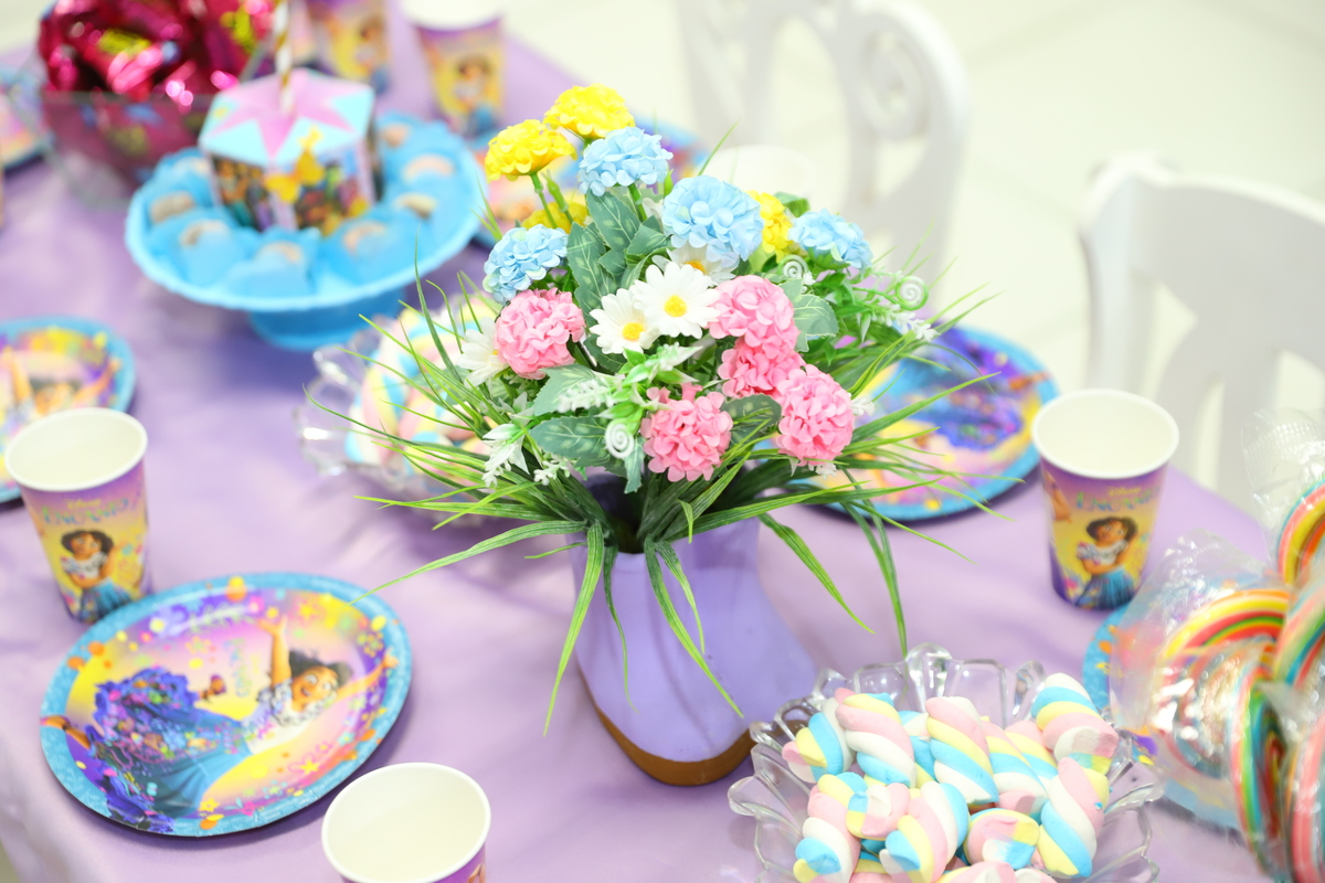 Festa Infantil no tema Encantados em Buffet Infantil em Curitiba Fotografia Decoração Aniversário Menina