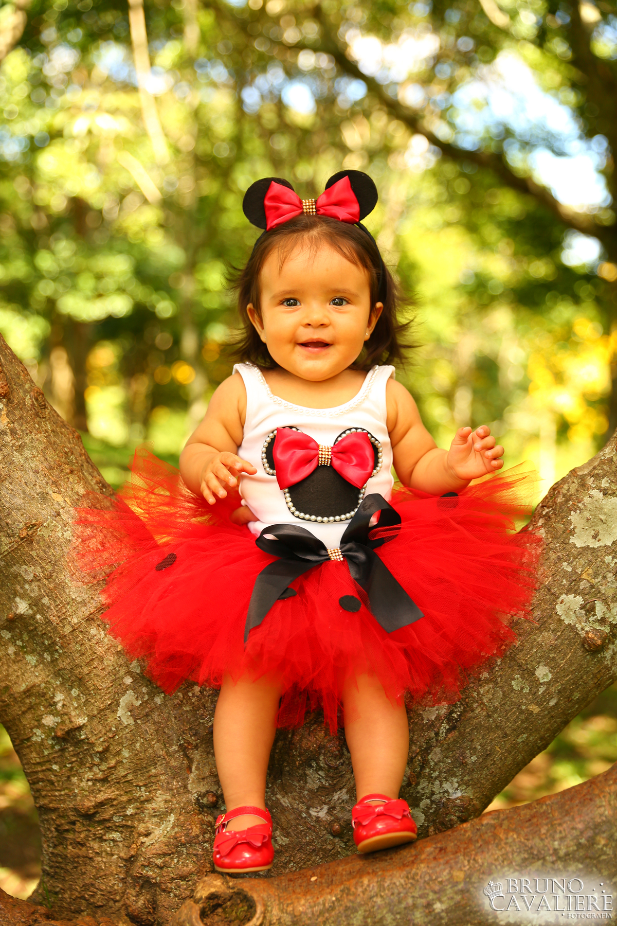 ensaio bebe curitiba