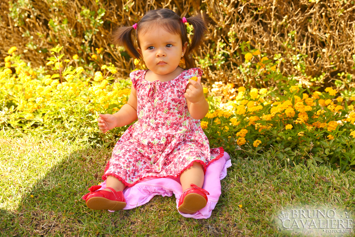 ensaio bebe curitiba