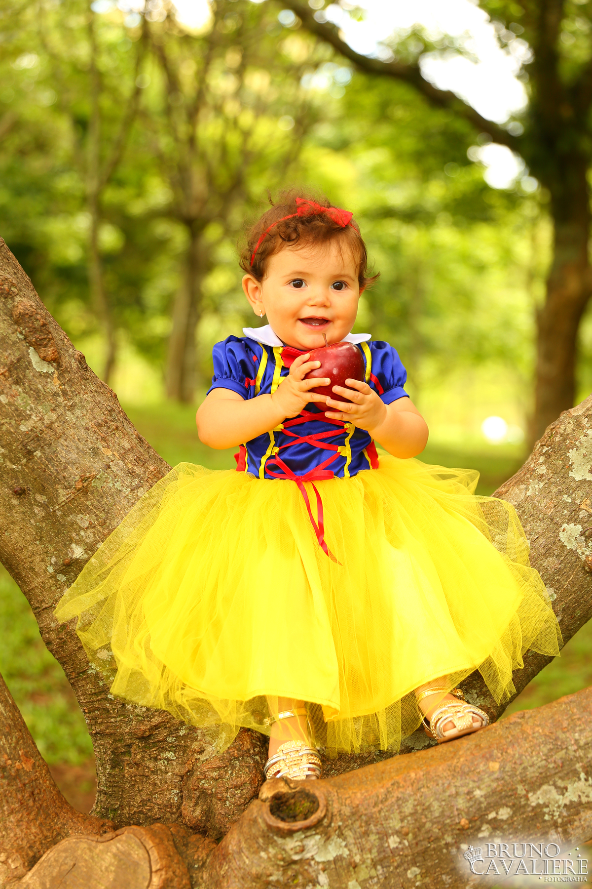 ensaio bebe curiitba 