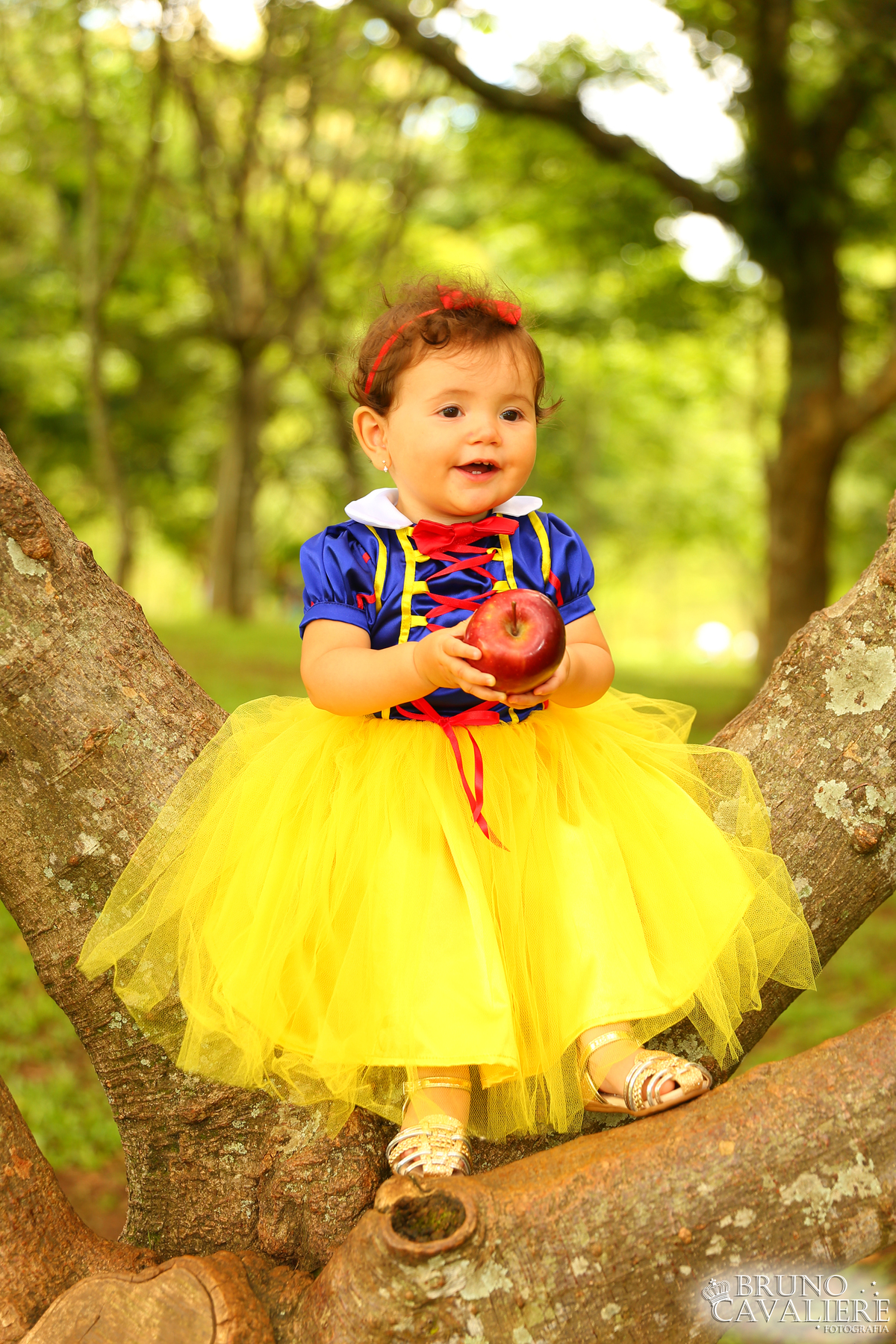 ensaio bebe curiitba 