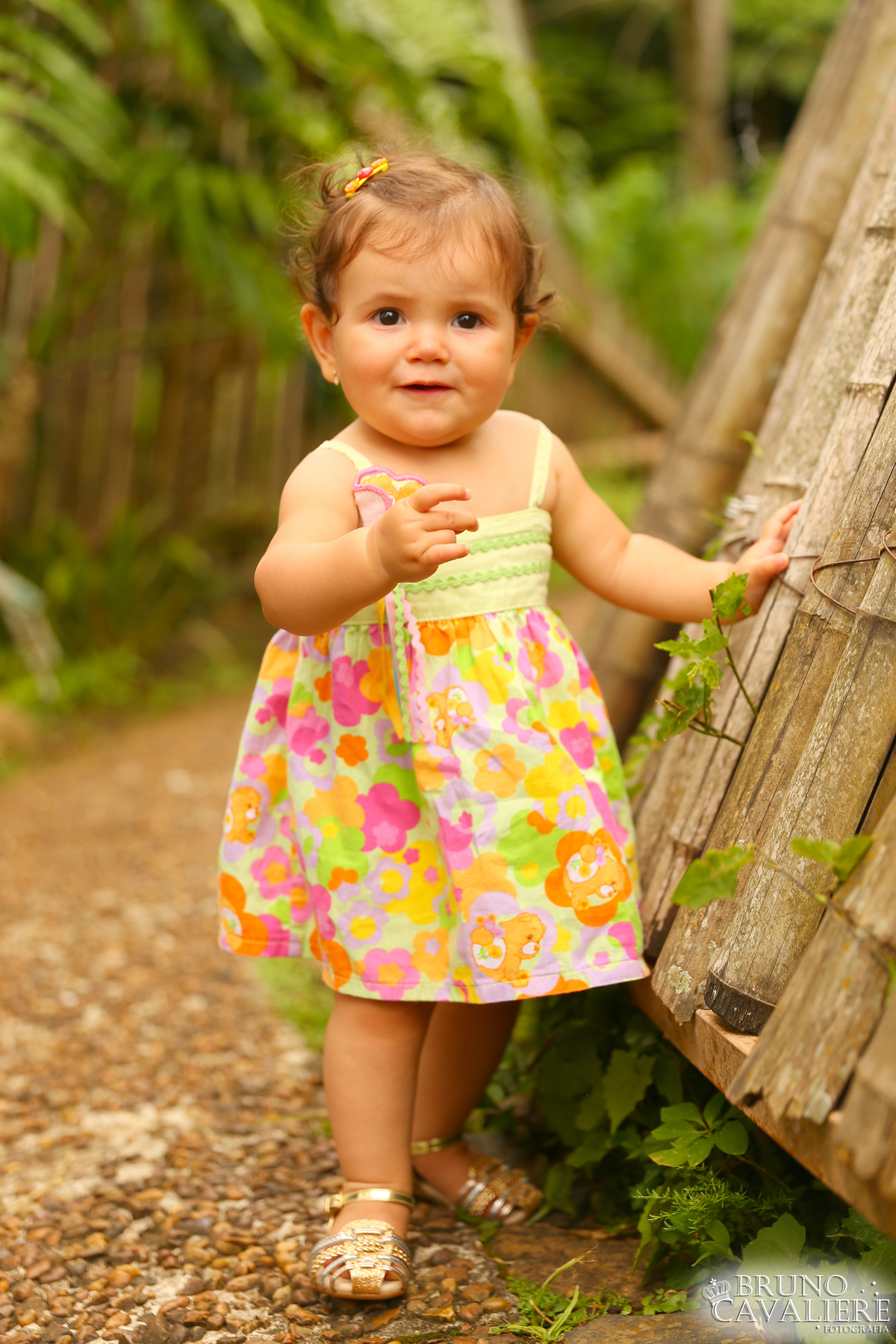 ensaio bebe curiitba 