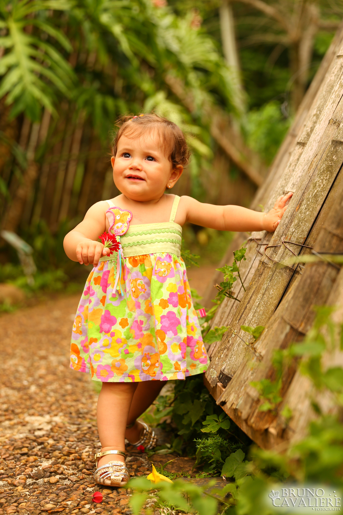 ensaio bebe curiitba 