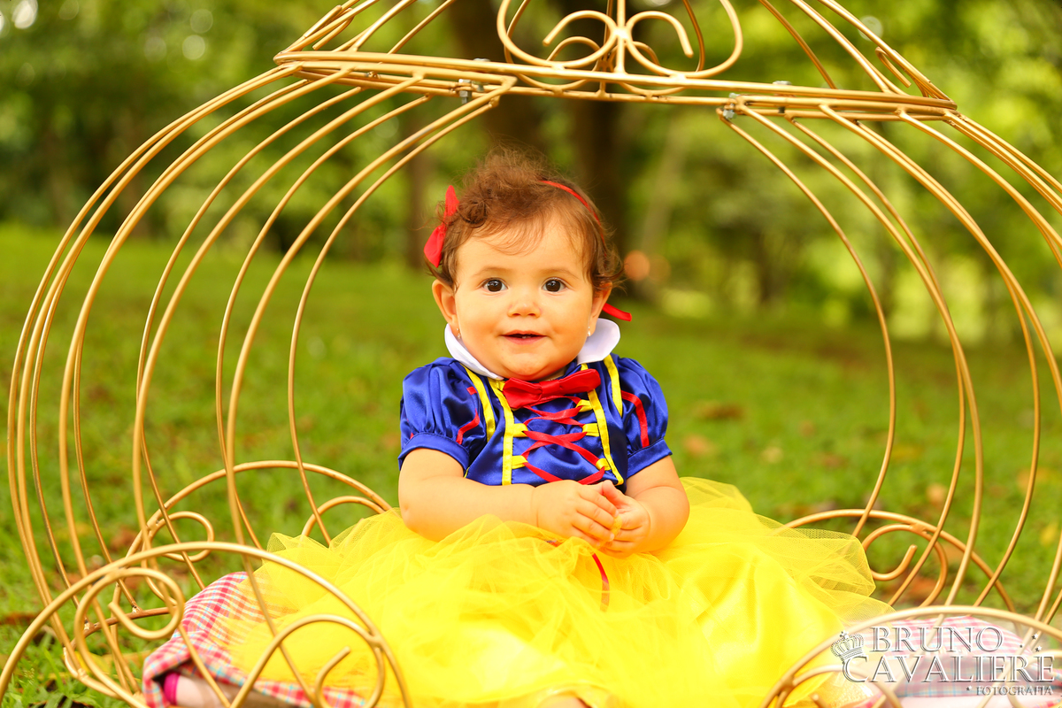 ensaio bebe curiitba 