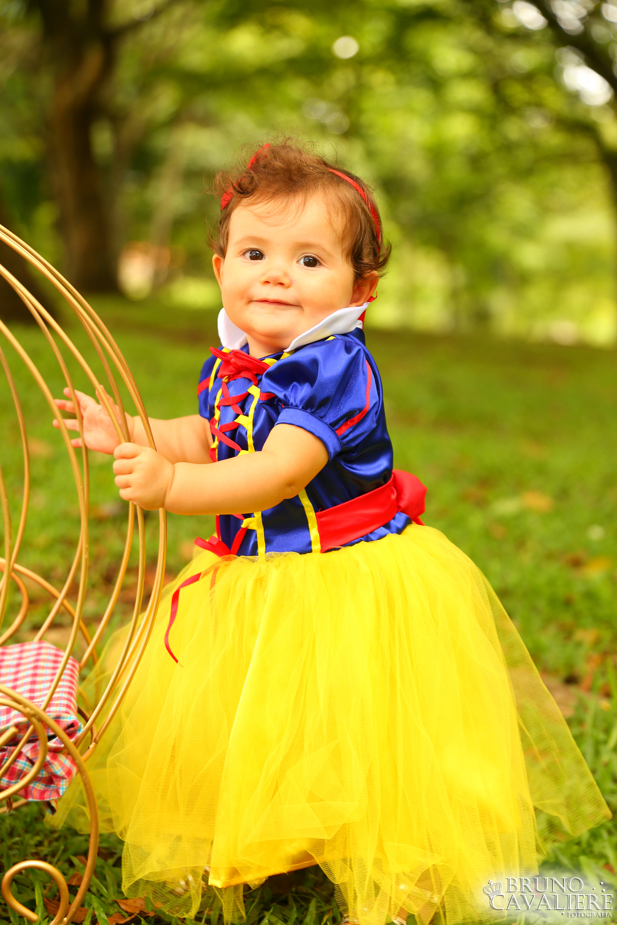 ensaio bebe curiitba 