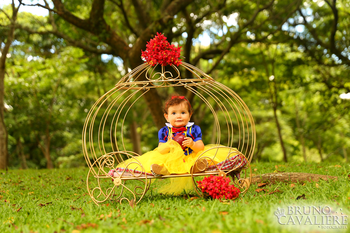 ensaio bebe curiitba 