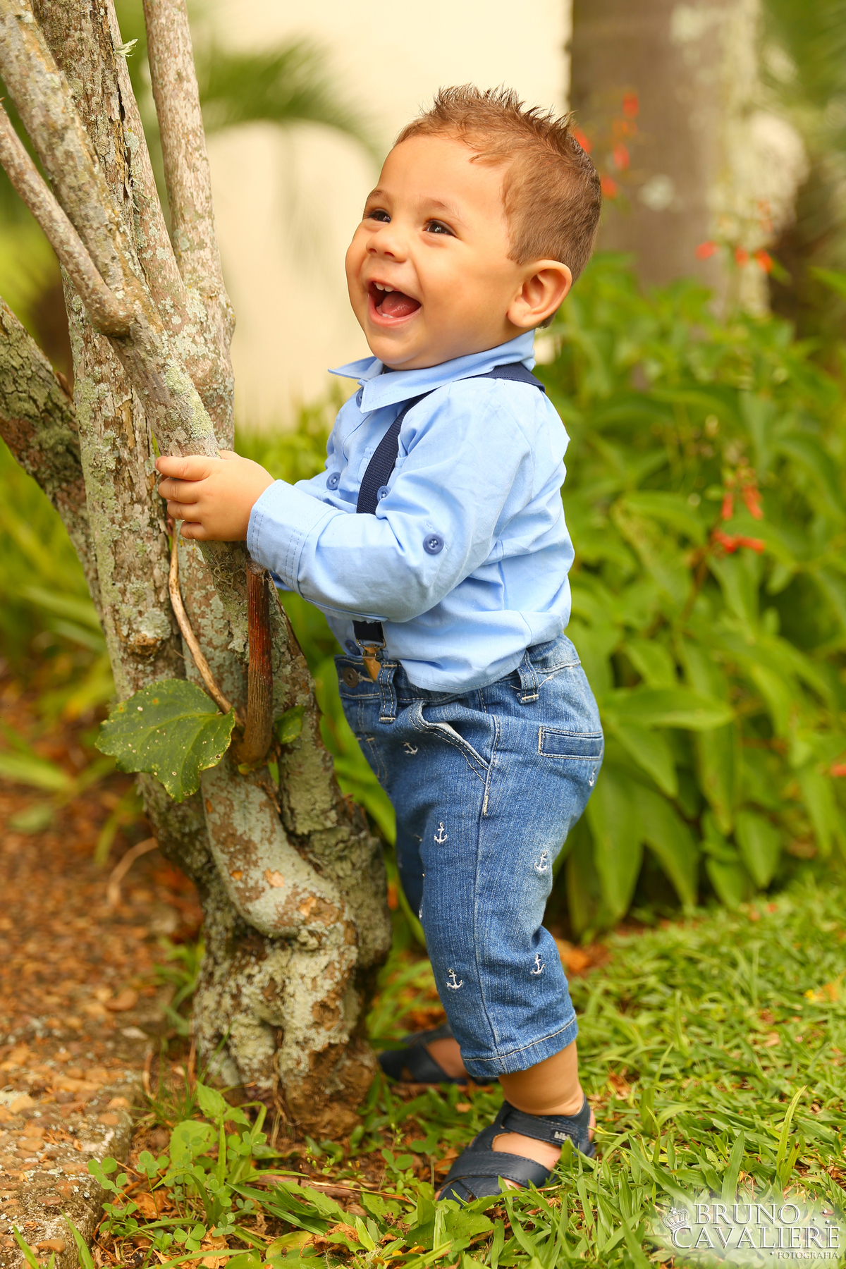 ensaio bebe curitiba 