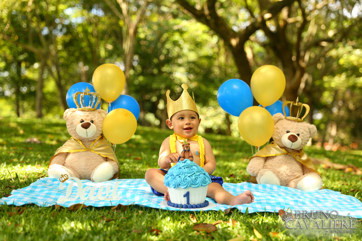 smash the cake curitiba