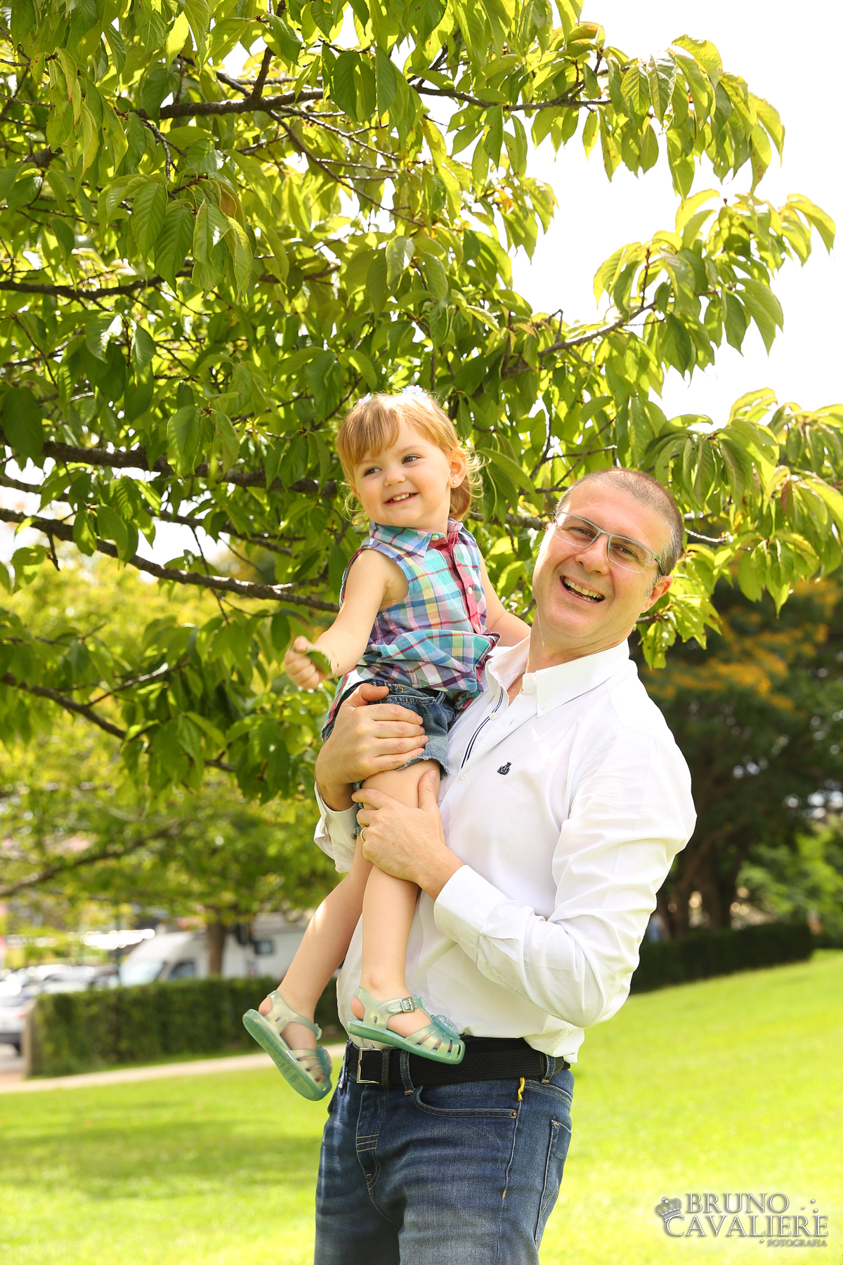 ensaio familia curitiba