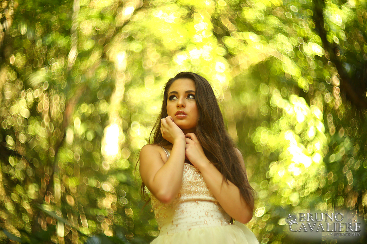 book debutante curitiba