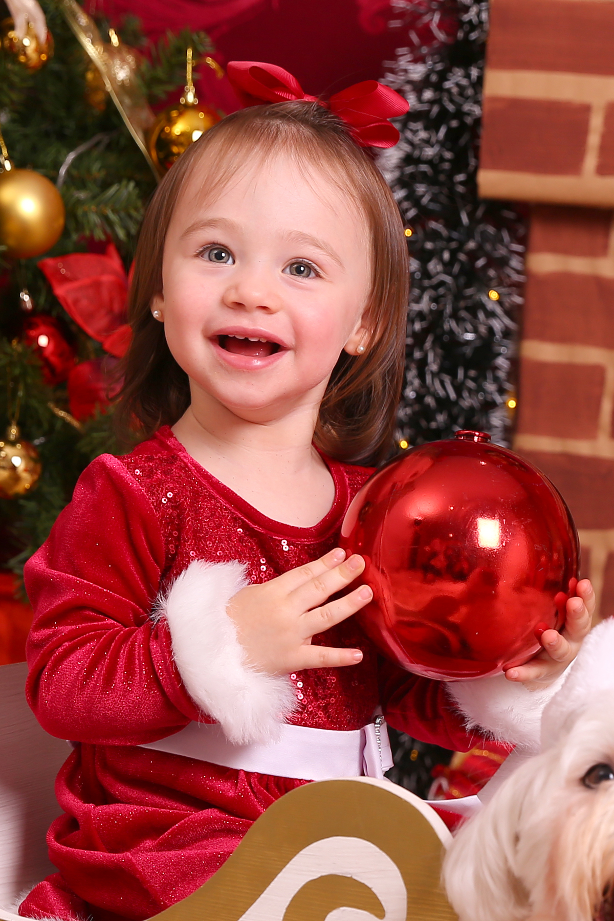 fotografo natal curitiba