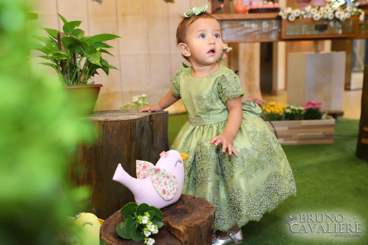 fotógrafo festa infantil curitiba