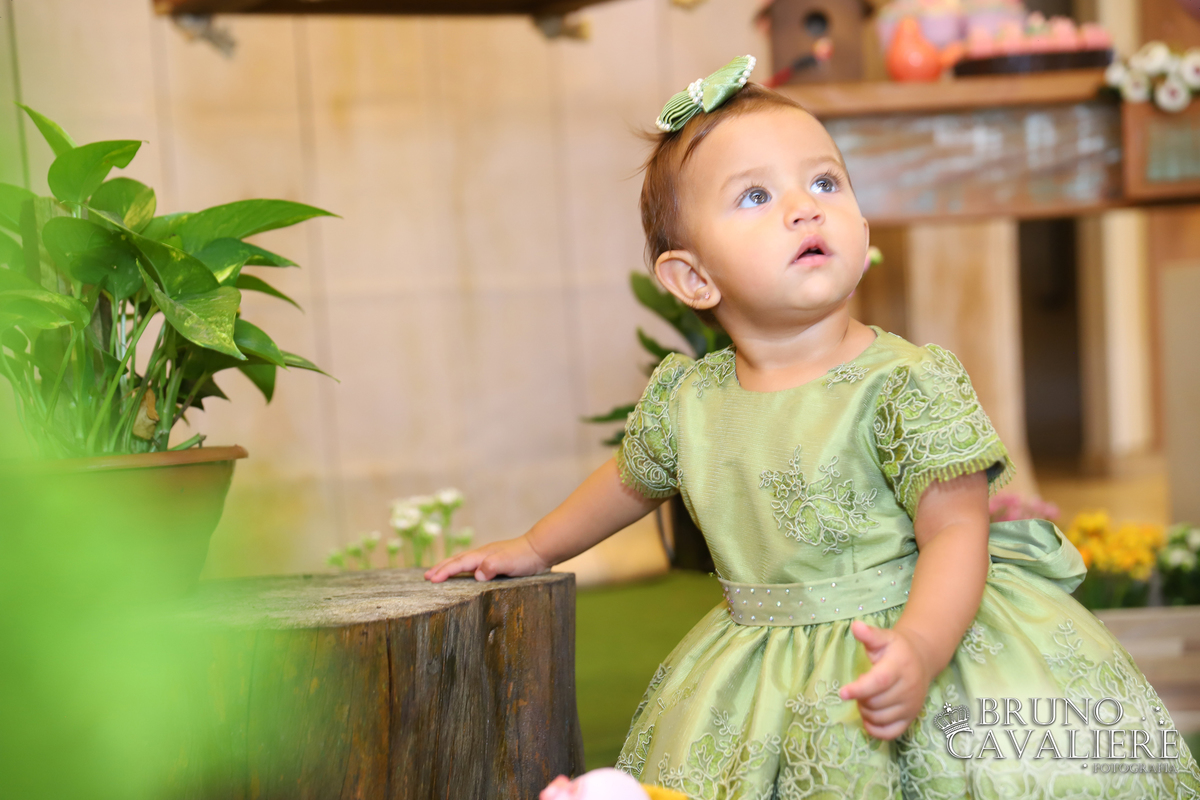 fotógrafo festa infantil curitiba