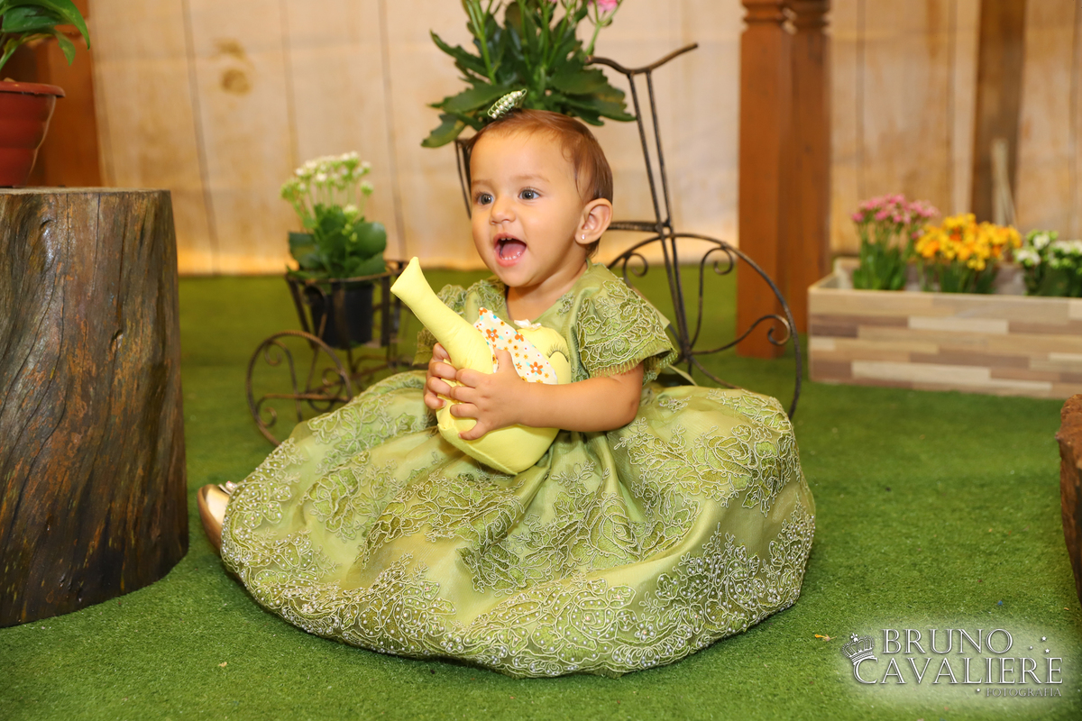 fotógrafo festa infantil curitiba