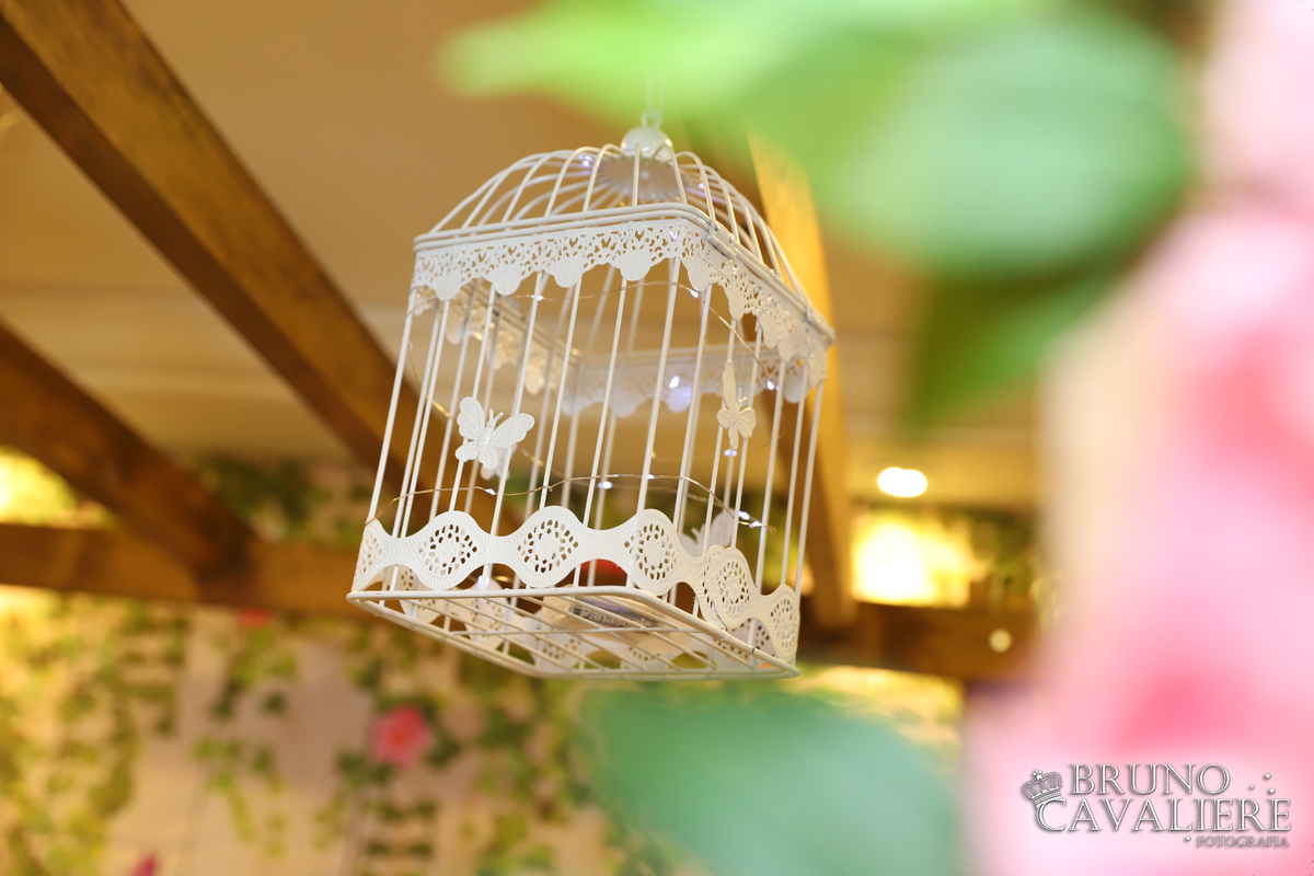 fotografia festa infantil curitiba