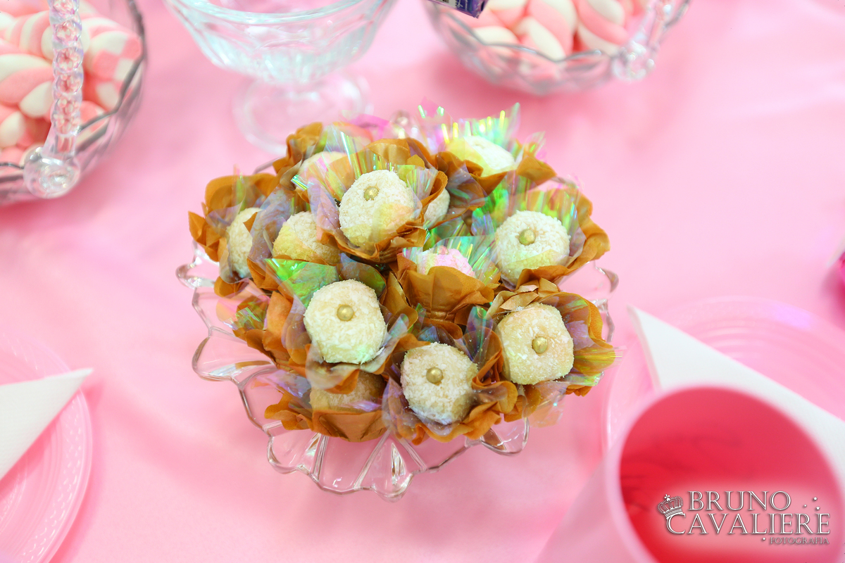 fotógrafo festa infantil curitiba tema ursas princesas aniversário 1 aninho sophia buffet minanafest