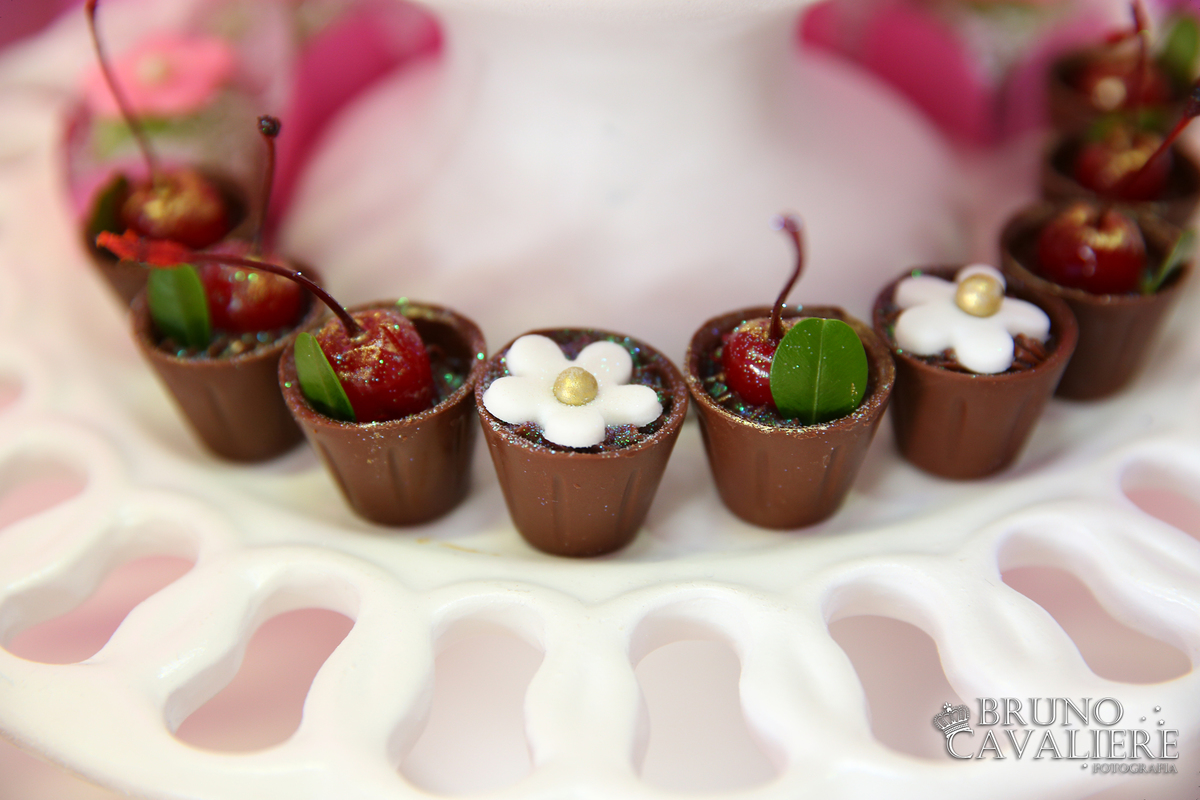 fotógrafo festa infantil curitiba tema ursas princesas aniversário 1 aninho sophia buffet minanafest