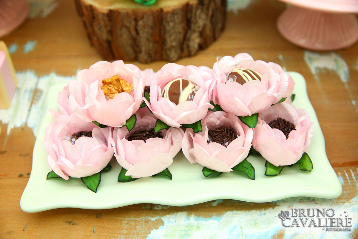 fotografia festa infantil 