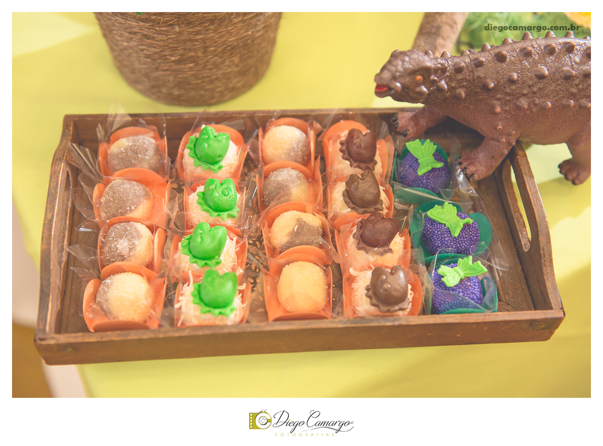 aniversario, caçador, santa catarina, festa infantil, aniversario infantil, criança, balao, festa, animação, festa de criança, aniversario de criança, decoração, docinho, salgadinho, bolo, familia