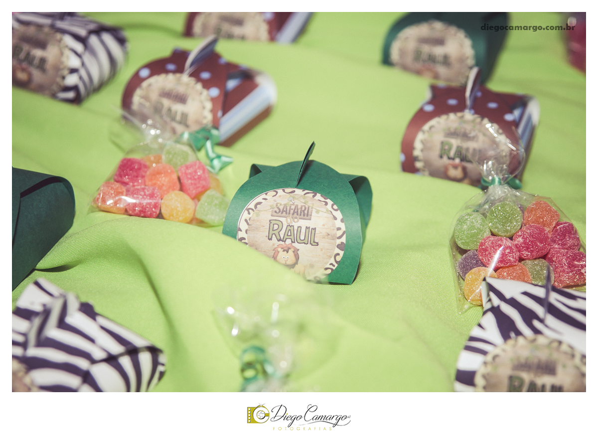 aniversario, infantil, festa, bebe, 1 ano, quiosque, cacador, bolo, fotografo, fotografa, ensaio, newborn, decoração, fotografo em caçador, fotografia infantil,