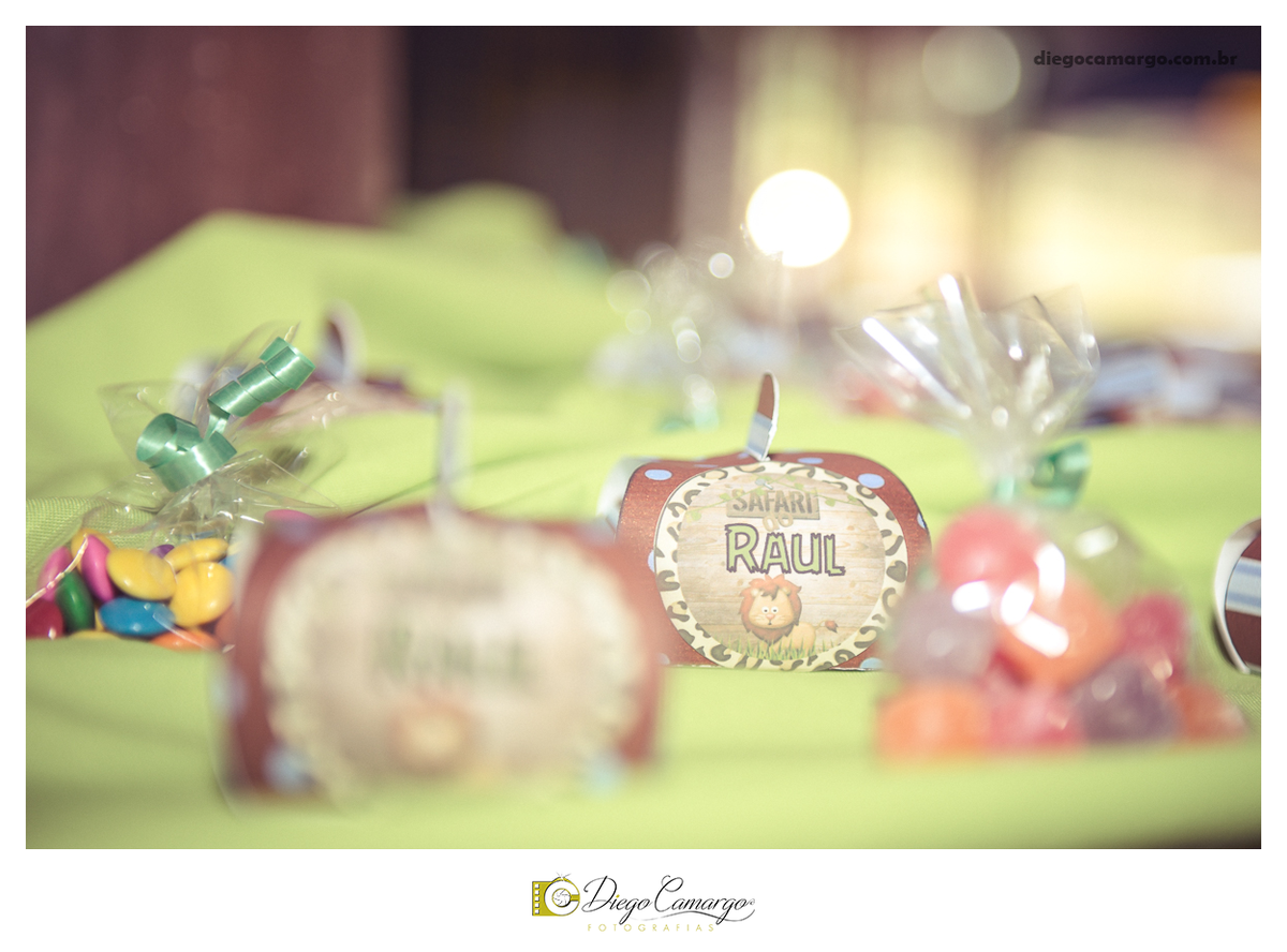 aniversario, infantil, festa, bebe, 1 ano, quiosque, cacador, bolo, fotografo, fotografa, ensaio, newborn, decoração, fotografo em caçador, fotografia infantil,