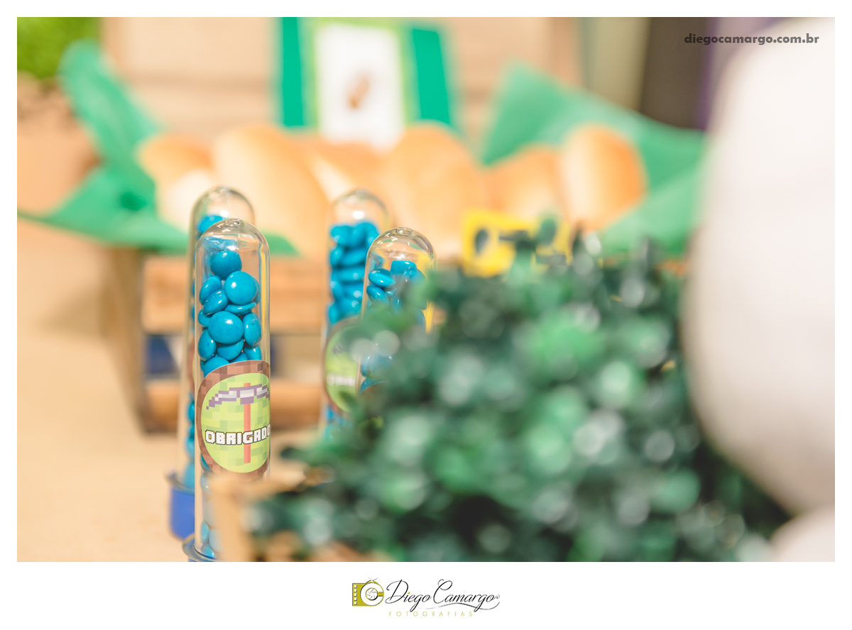 aniversario, decoração, festa, caçador, infantil, fotografo em cacador, festa infantil, bolo, docinho, salgadinho, enfeite, brinquedo, criança, festinha, cupcake, diego camargo fotografias