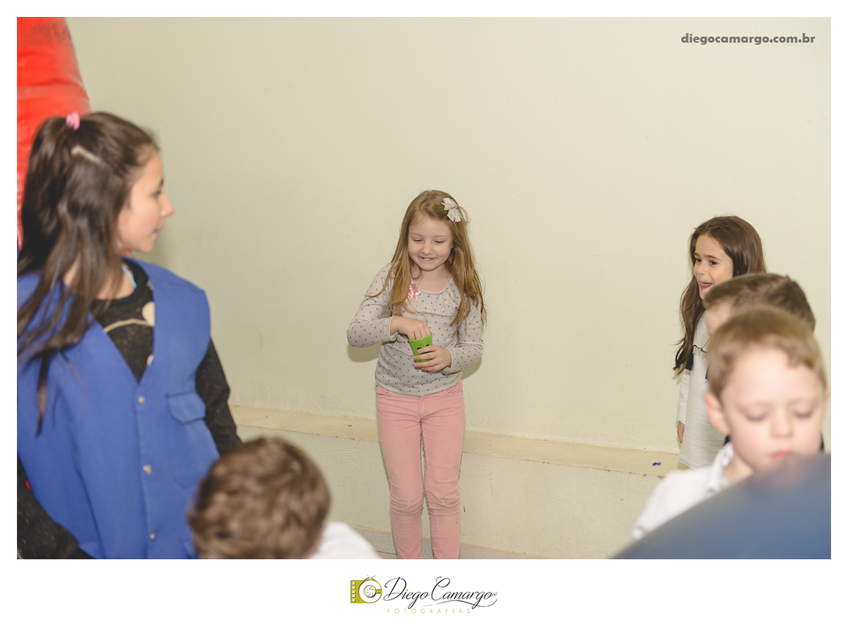 aniversario, decoração, festa, caçador, infantil, fotografo em cacador, festa infantil, bolo, docinho, salgadinho, enfeite, brinquedo, criança, festinha, cupcake, diego camargo fotografias