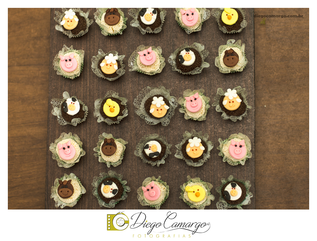 Este foi o Aniversário do Arthur, comemorando seu primeiro aninho. Na fazendinha do Arthur rolou muitos doces, salgadinhos, refrigerantes, e é claro, muitas brincadeiras juntamente com os familiares e amiguinhos.  Fotos: Diego Camargo e Fram