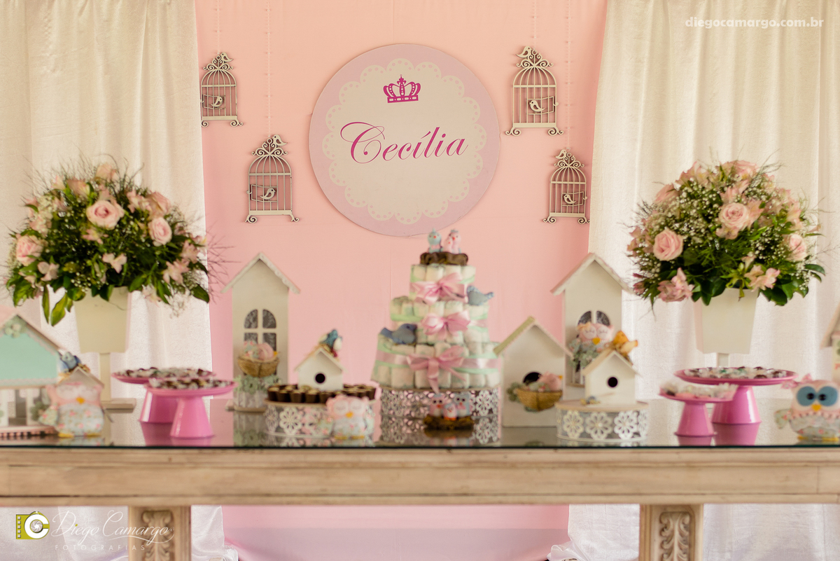 Cha de bebe, gravida, gestante, ensaio, decoração, bolo, frauda, cha de frauda, lembrança, amiga, presente