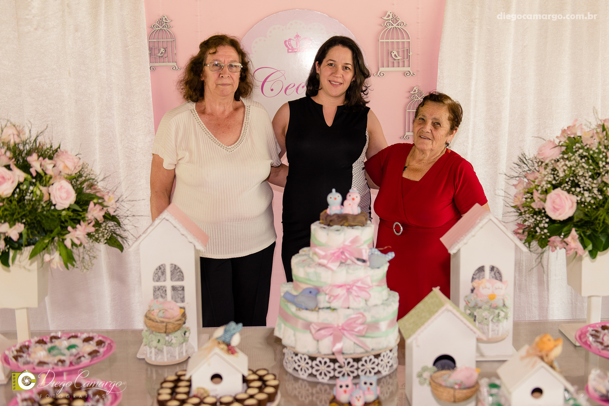 Cha de bebe, gravida, gestante, ensaio, decoração, bolo, frauda, cha de frauda, lembrança, amiga, presente