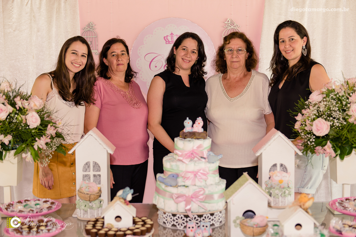 Cha de bebe, gravida, gestante, ensaio, decoração, bolo, frauda, cha de frauda, lembrança, amiga, presente