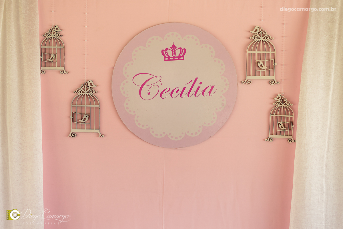 Cha de bebe, gravida, gestante, ensaio, decoração, bolo, frauda, cha de frauda, lembrança, amiga, presente