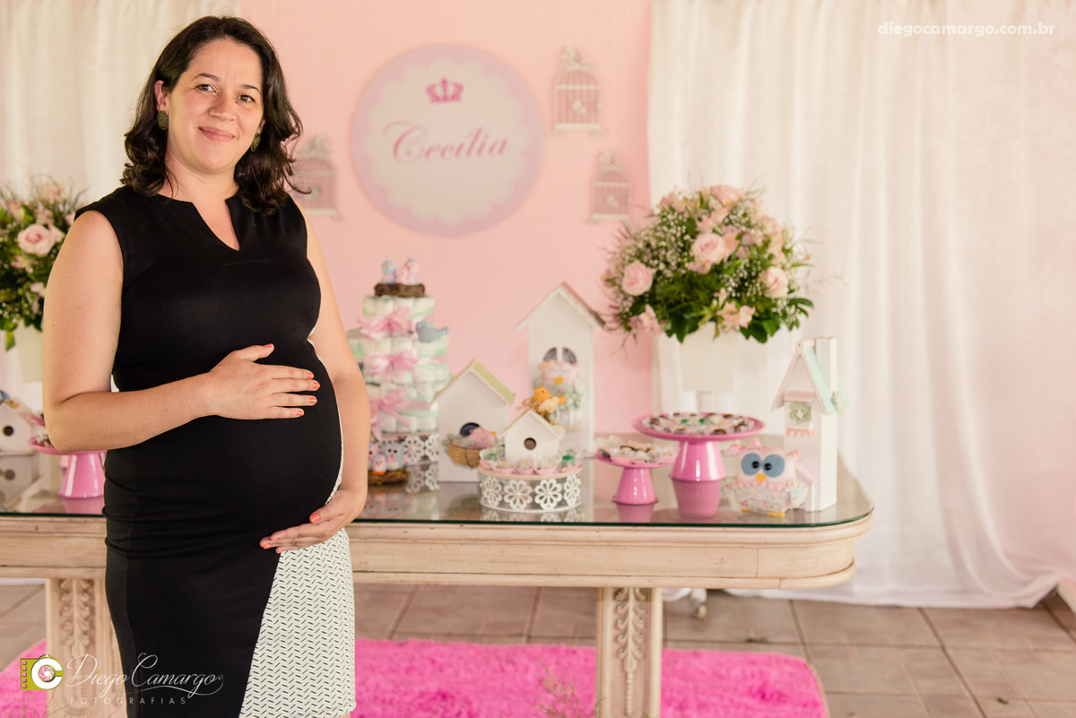 Cha de bebe, gravida, gestante, ensaio, decoração, bolo, frauda, cha de frauda, lembrança, amiga, presente