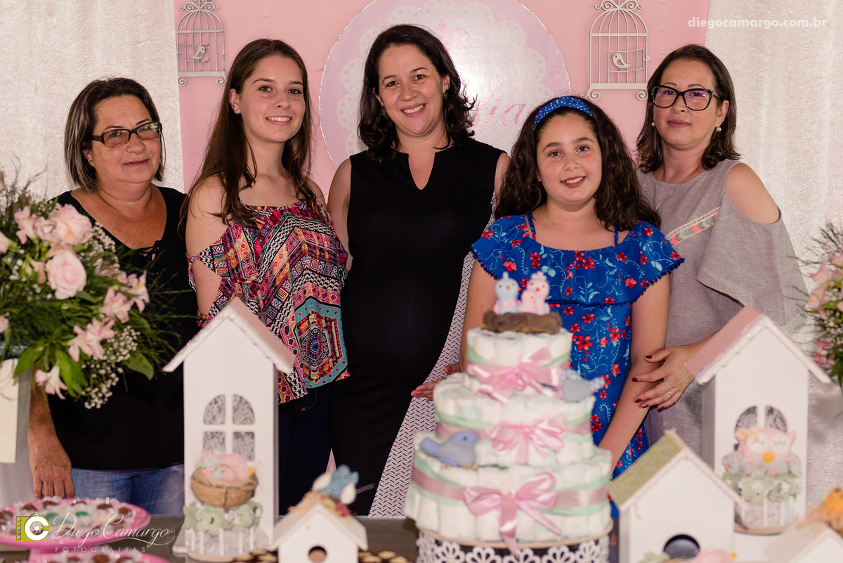 Cha de bebe, gravida, gestante, ensaio, decoração, bolo, frauda, cha de frauda, lembrança, amiga, presente