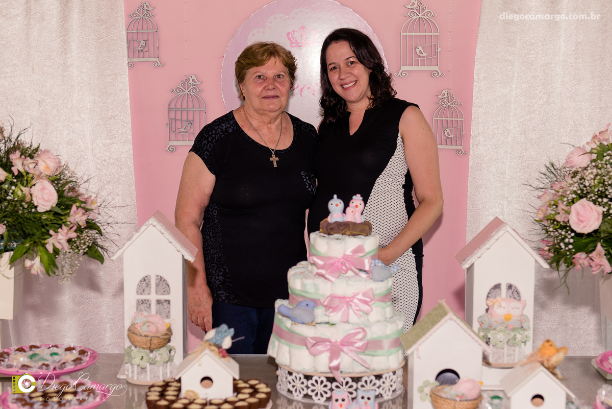 Cha de bebe, gravida, gestante, ensaio, decoração, bolo, frauda, cha de frauda, lembrança, amiga, presente