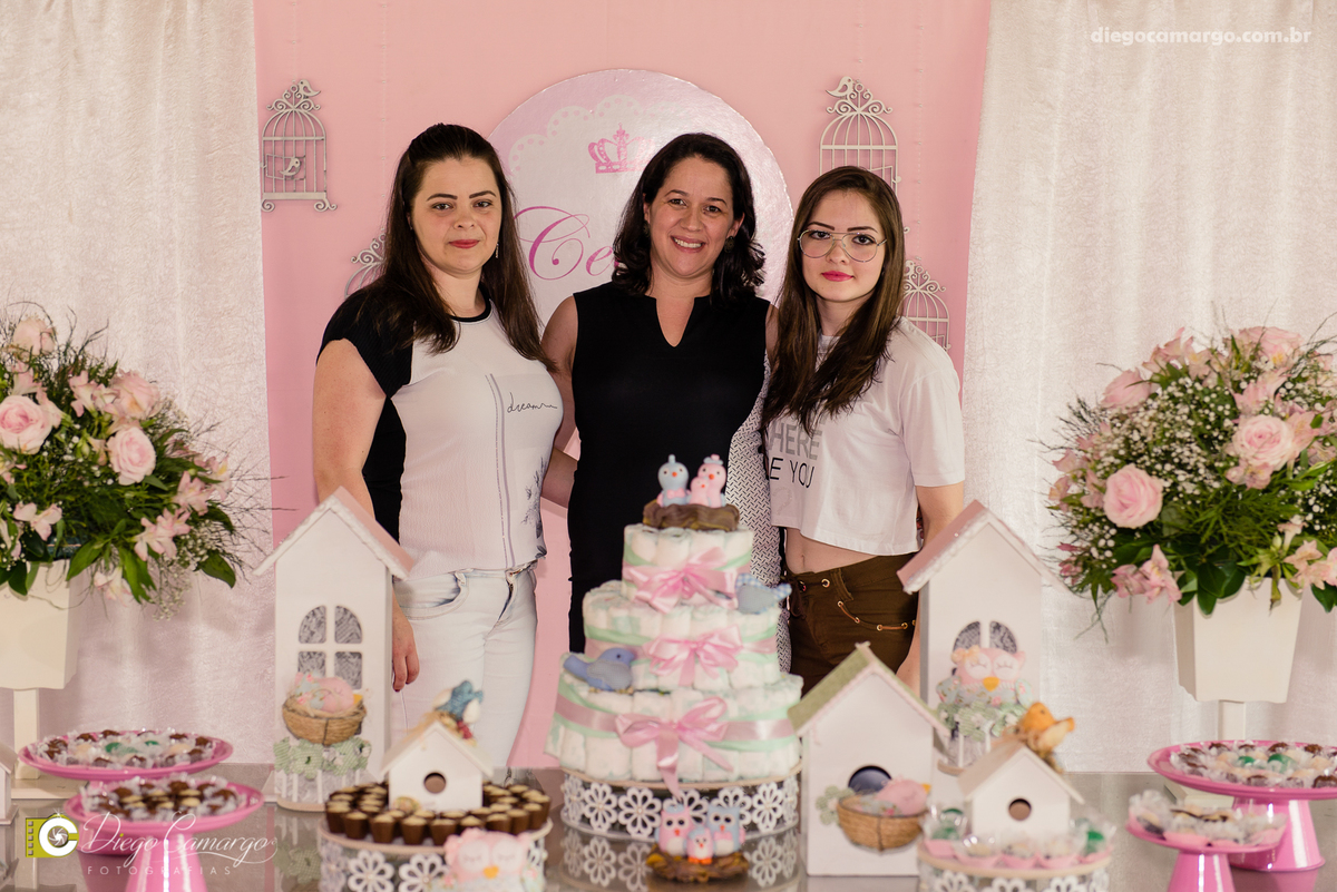 Cha de bebe, gravida, gestante, ensaio, decoração, bolo, frauda, cha de frauda, lembrança, amiga, presente