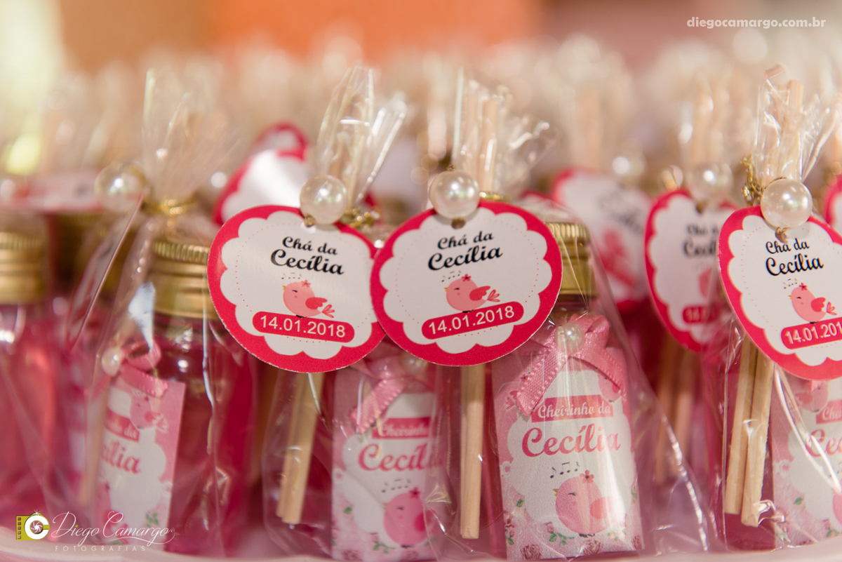 Cha de bebe, gravida, gestante, ensaio, decoração, bolo, frauda, cha de frauda, lembrança, amiga, presente