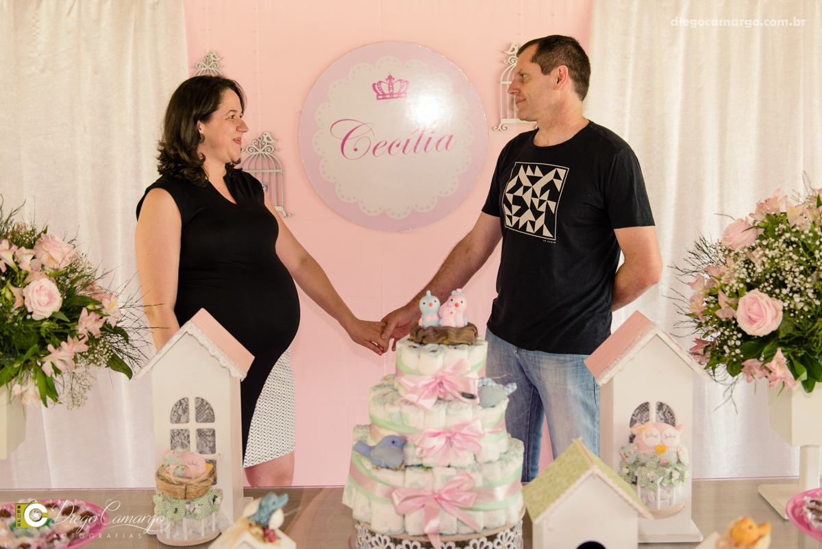 Cha de bebe, gravida, gestante, ensaio, decoração, bolo, frauda, cha de frauda, lembrança, amiga, presente