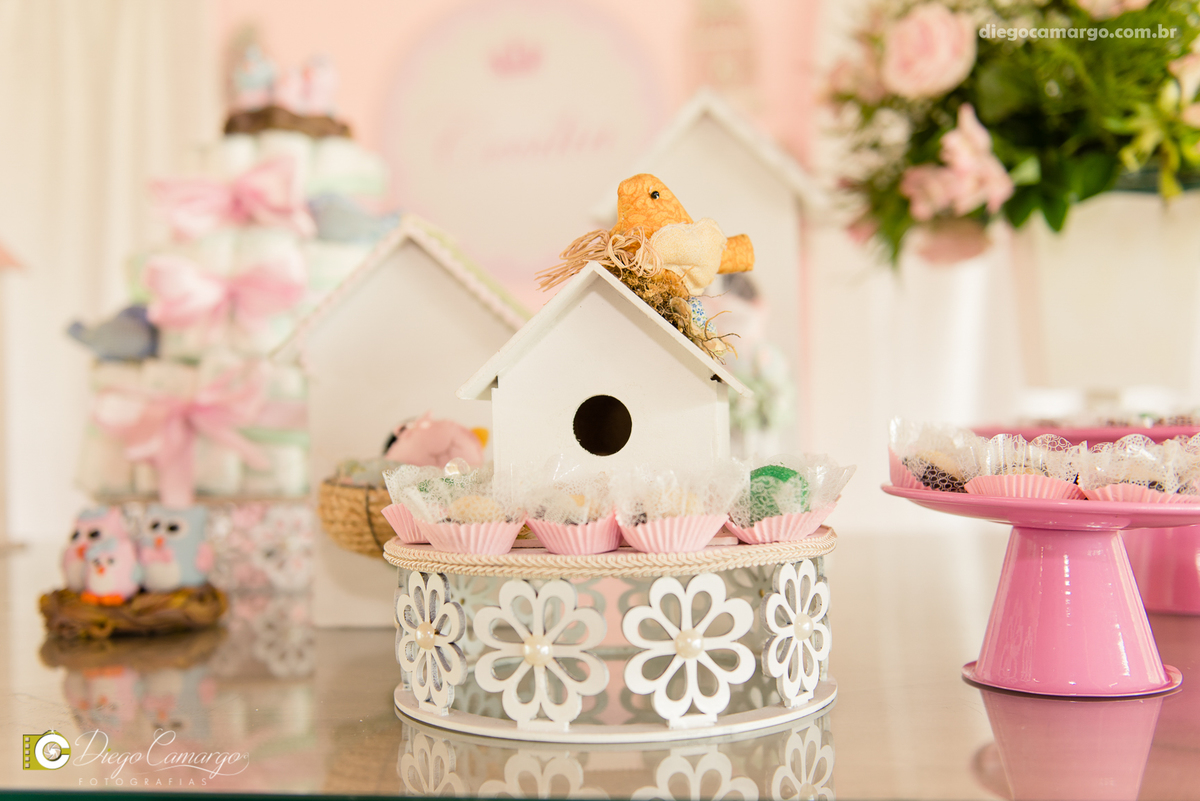 Cha de bebe, gravida, gestante, ensaio, decoração, bolo, frauda, cha de frauda, lembrança, amiga, presente