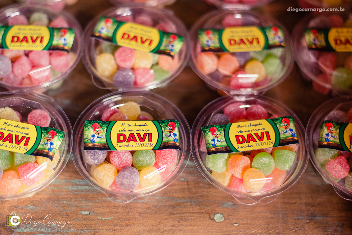 aniversario, quiosque scolaro, cacador, pica pau, linha cara, bolo, presente, docinho, salgado, brincadeira, ferias, festa, criança, pula pula, brigadeiro, decoração, escorrega, mágico