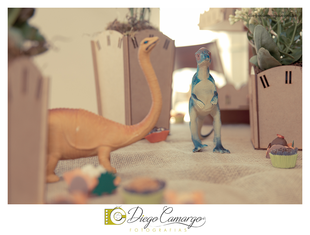 Aniversario infantil caçador fotografo aniversario festa caçador fotografia decoração tema infantil casal familia doces bolo casamento decoração igreja fotos