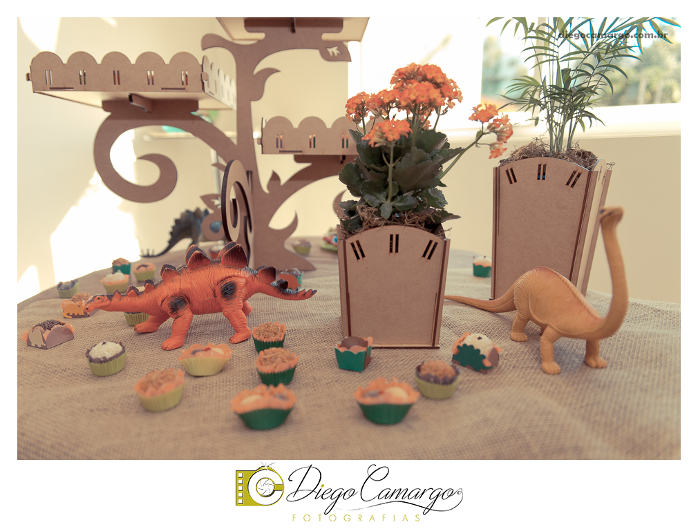 Aniversario infantil caçador fotografo aniversario festa caçador fotografia decoração tema infantil casal familia doces bolo casamento decoração igreja fotos