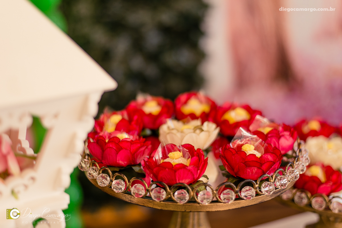 aniversario, espuleto, caçador, bianca, 2 anos, infantil, decoração, bolo, doces, salgados, festa, brincadeira.