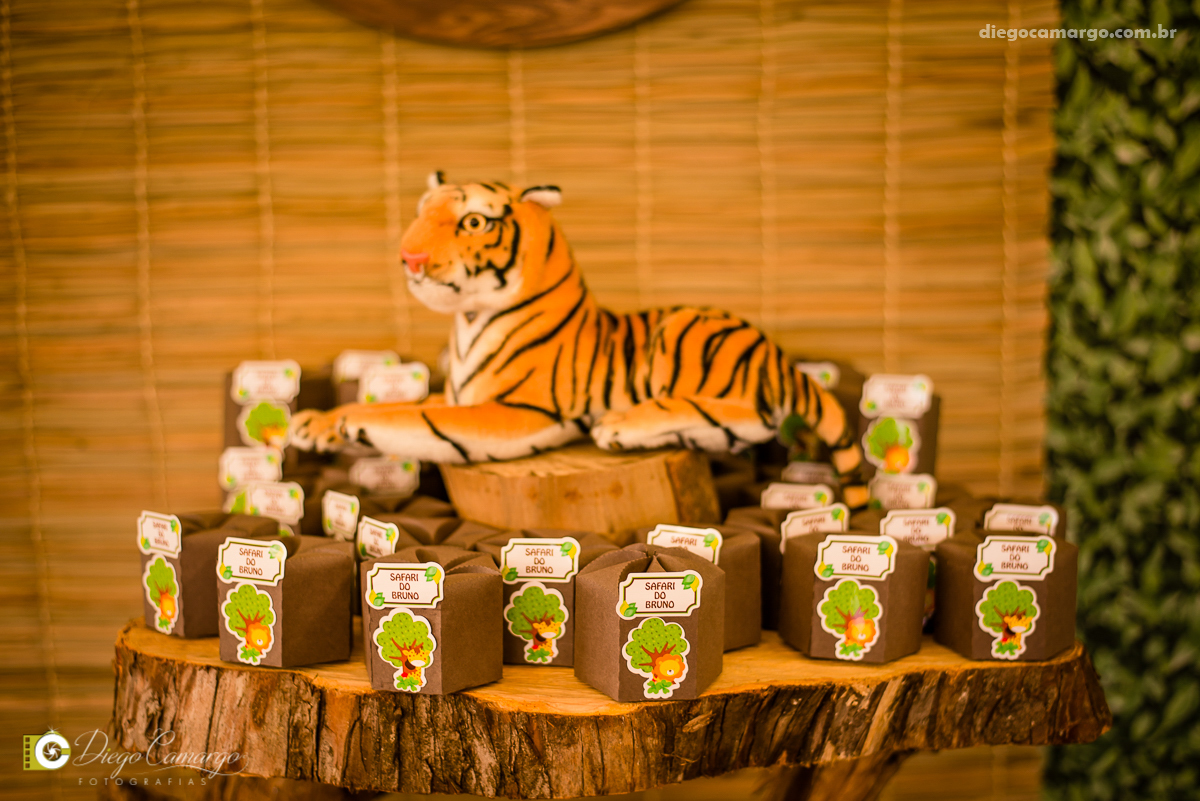 aniversário, bruno, espuleto, festa, decoração, caçador, selva, animais, floresta, brincadeira, bolo, docinhos, salgadinhos, 