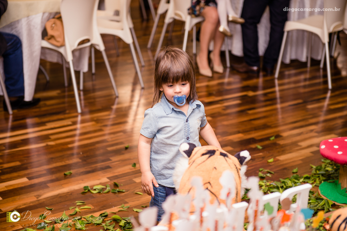 aniversário, bruno, espuleto, festa, decoração, caçador, selva, animais, floresta, brincadeira, bolo, docinhos, salgadinhos, 