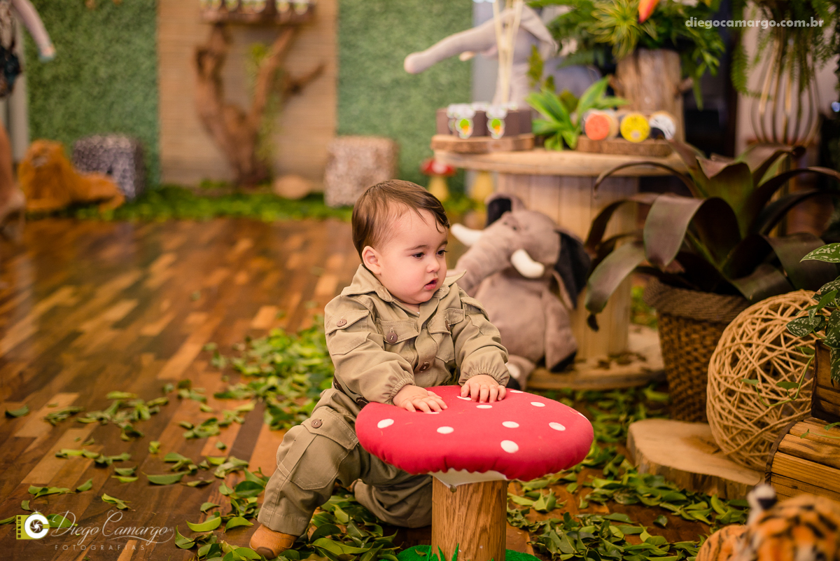 aniversário, bruno, espuleto, festa, decoração, caçador, selva, animais, floresta, brincadeira, bolo, docinhos, salgadinhos, aniversário, bruno, espuleto, festa, decoração, caçador, selva, animais, floresta, brincadeira, bolo, docinhos, salgadinhos, 